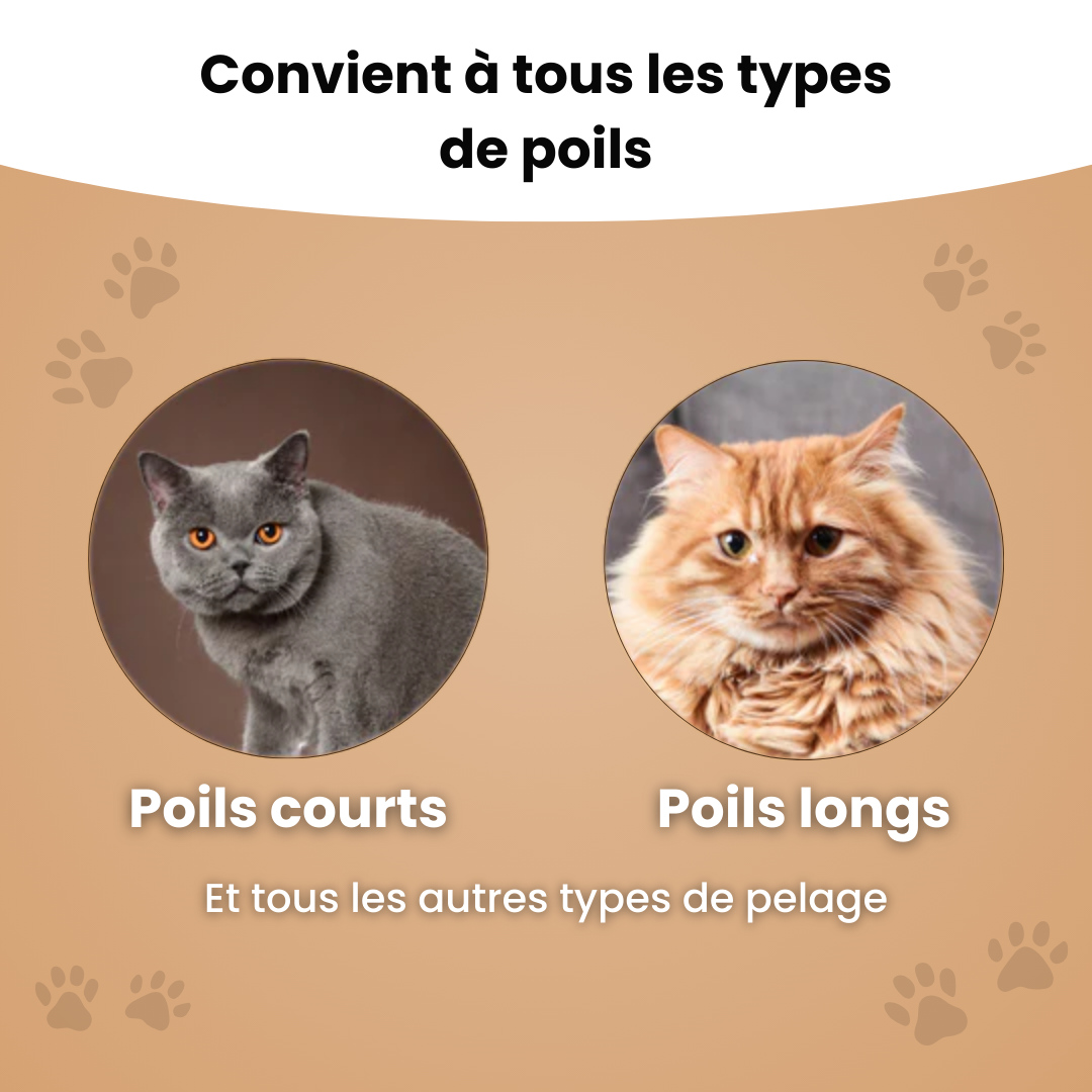 SmartBrush™ – Brosse anti-poils morts